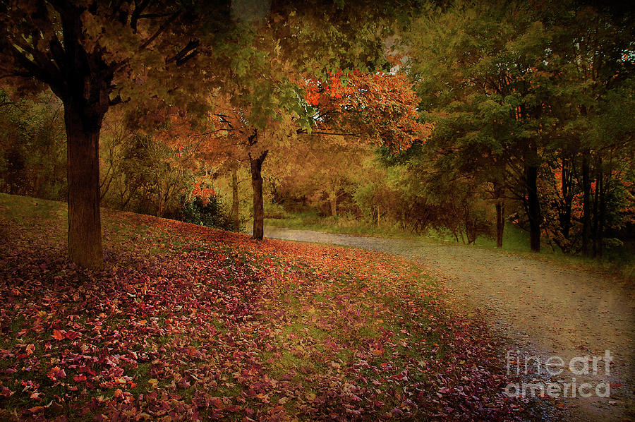 Autumn Walk 2  Photograph by Elaine Manley