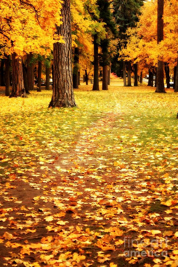 Autumn Walk in Spokane Photograph by Carol Groenen