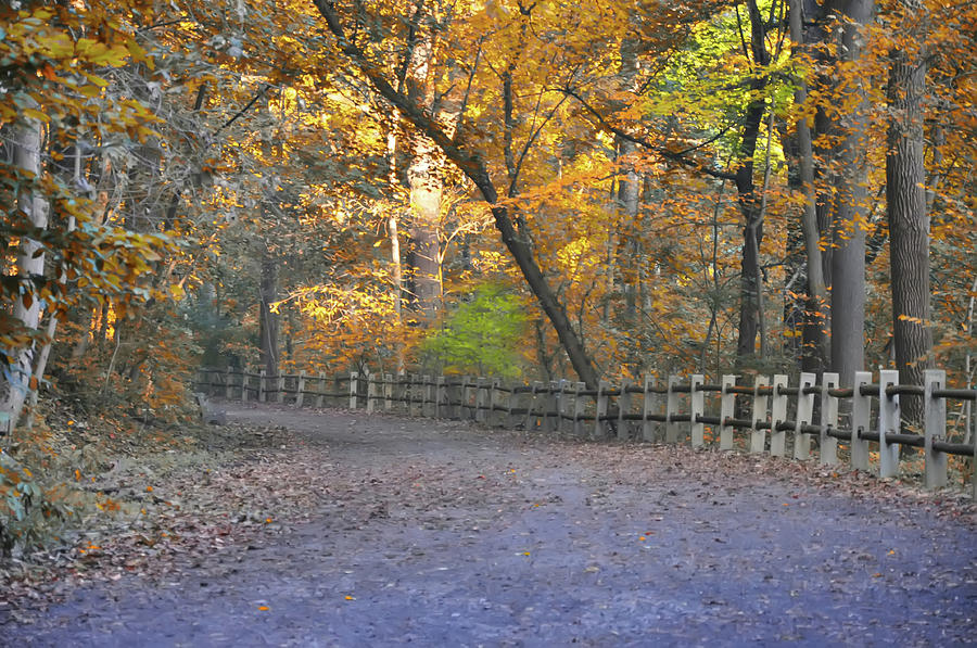 Autumn Walk near Valley Green Photograph by Bill Cannon