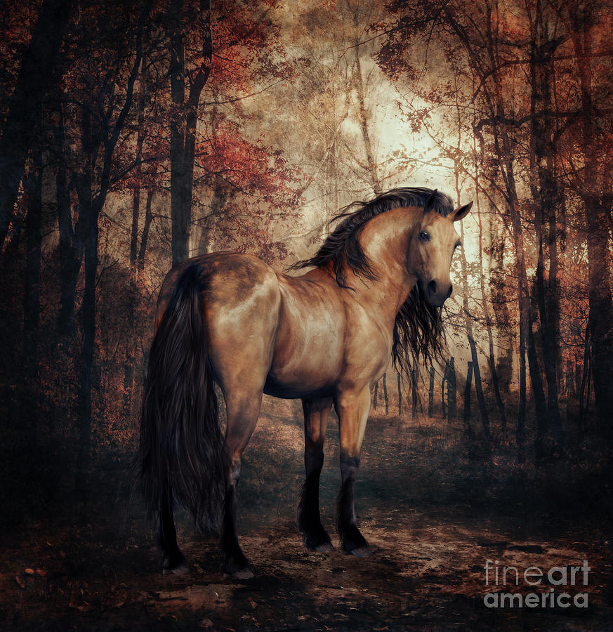 Horse Digital Art - Autumn Walk by Shanina Conway