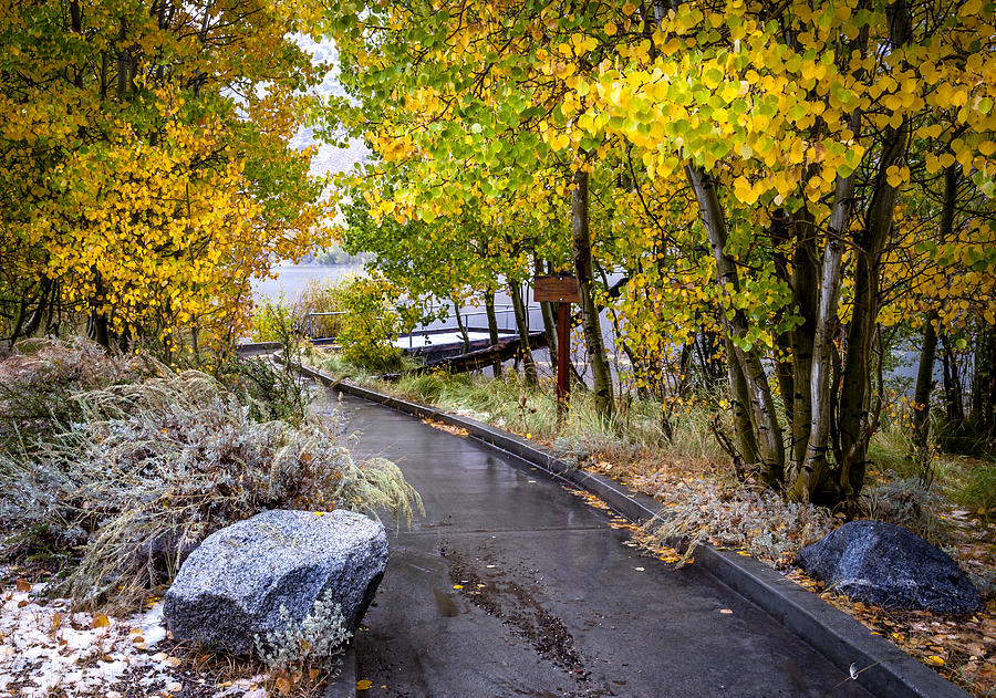 Fall Photograph - Autumn Walkway by Cat Connor