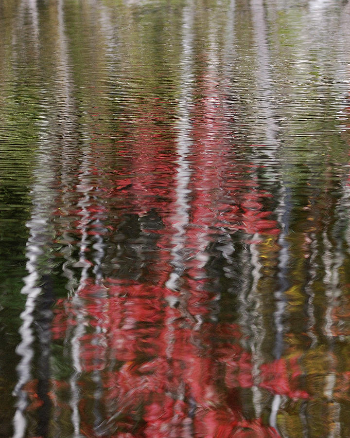 Autumn Water Color Photograph by Sue Capuano