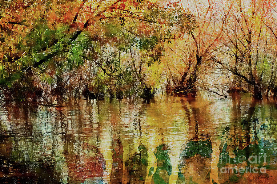 Autumn Water Colors Digital Art
