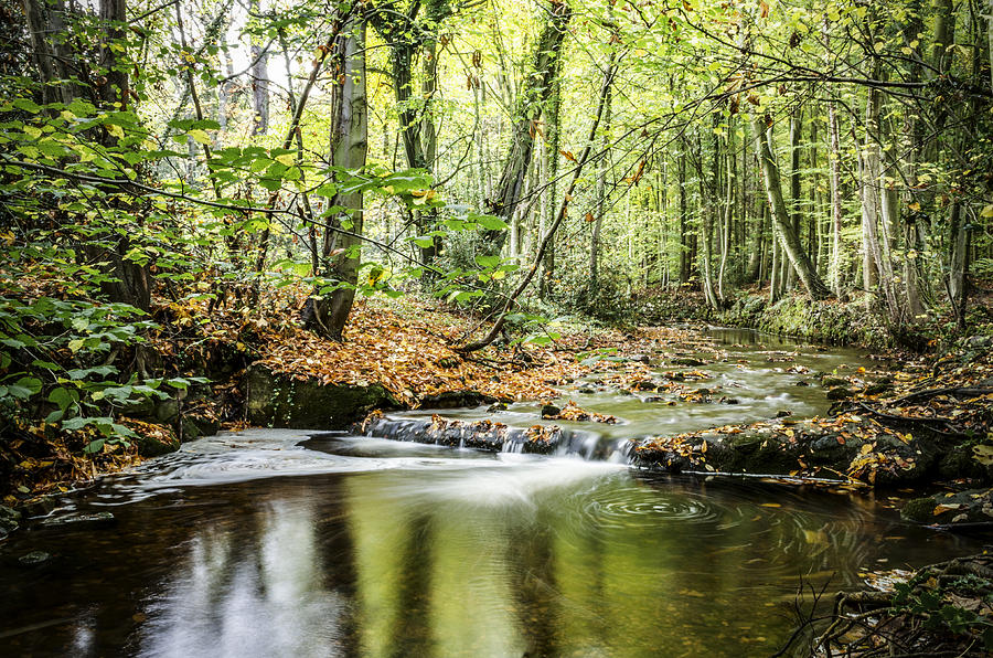 Autumn Water way at Offas Dyke  Photograph by Spikey Mouse Photography