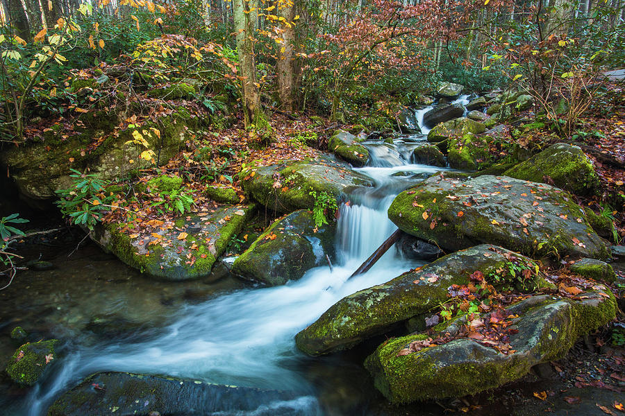 Autumn Waterfall In Smoky Mountains National Park Photograph by Carol ...