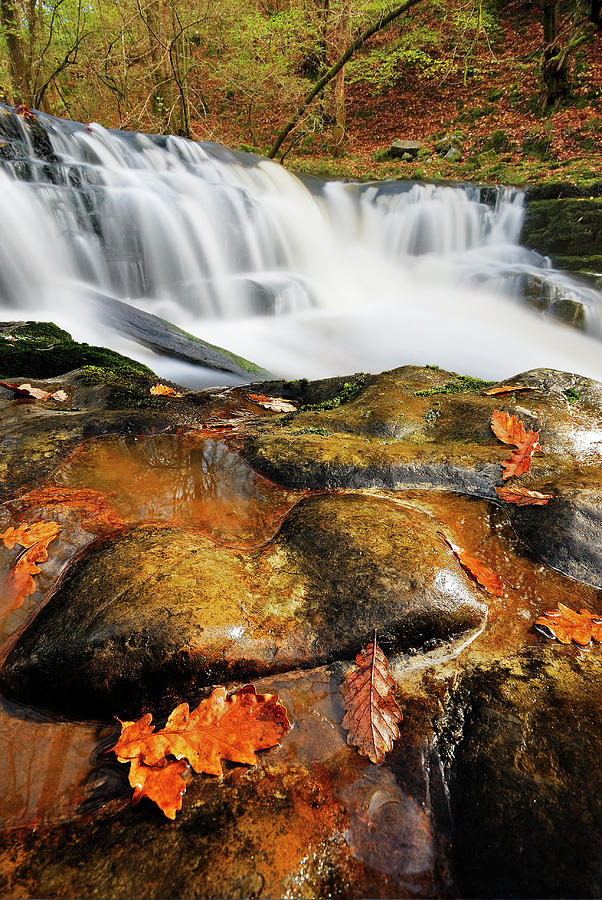 Autumn waterfall  Photograph by John Chivers