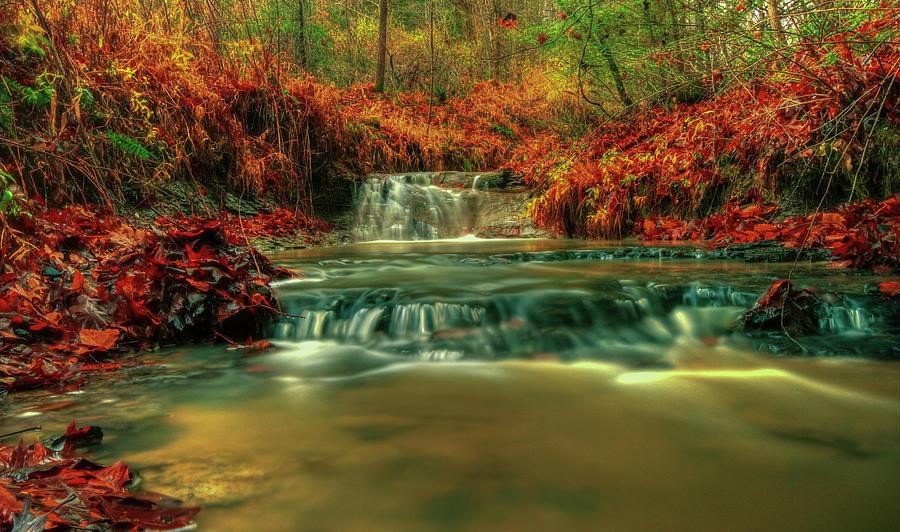 Autumn Waterfall Photograph by Lena Auxier