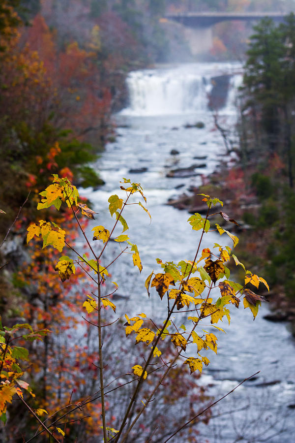Fall Photograph - Autumn Waters by Parker Cunningham