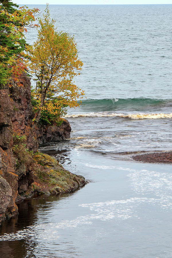 Autumn Wave Photograph by Steve Stuller
