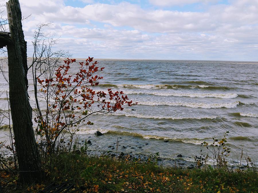 Autumn Waves by Sharilee Swaity Autumn Waves by Sharilee Swaity