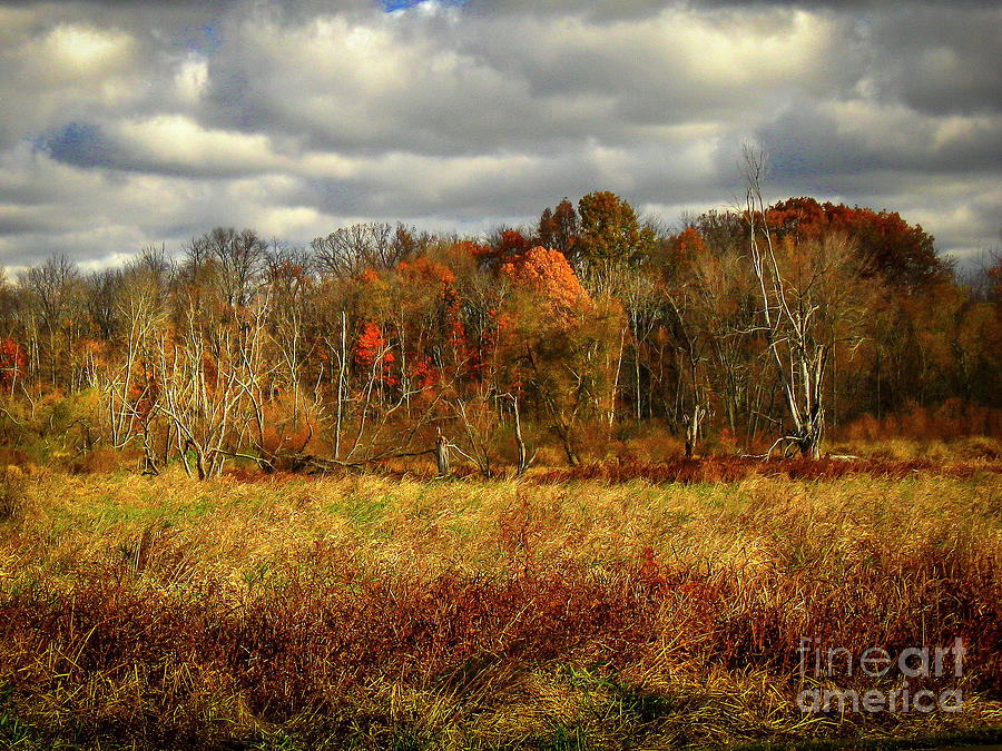 Autumn Wetlands Chippewa Lake Photograph by Robert Gardner - Fine Art ...