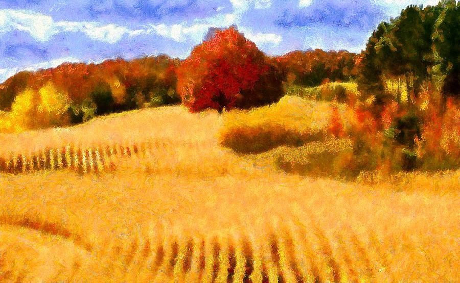 Fall Digital Art - Autumn Wheat Field by Caito Junqueira