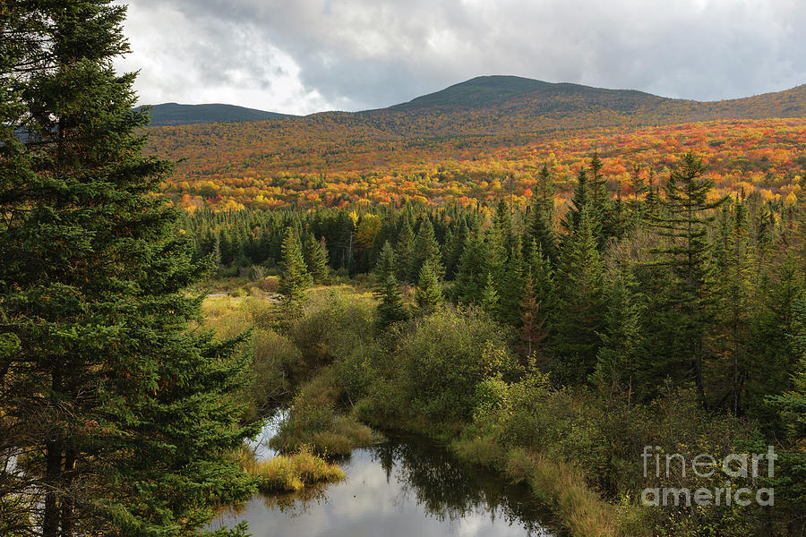 Autumn - White Mountains New Hampshire Photograph by Erin Paul Donovan Autumn - White Mountains New Hampshire Photograph by Erin Paul Donovan