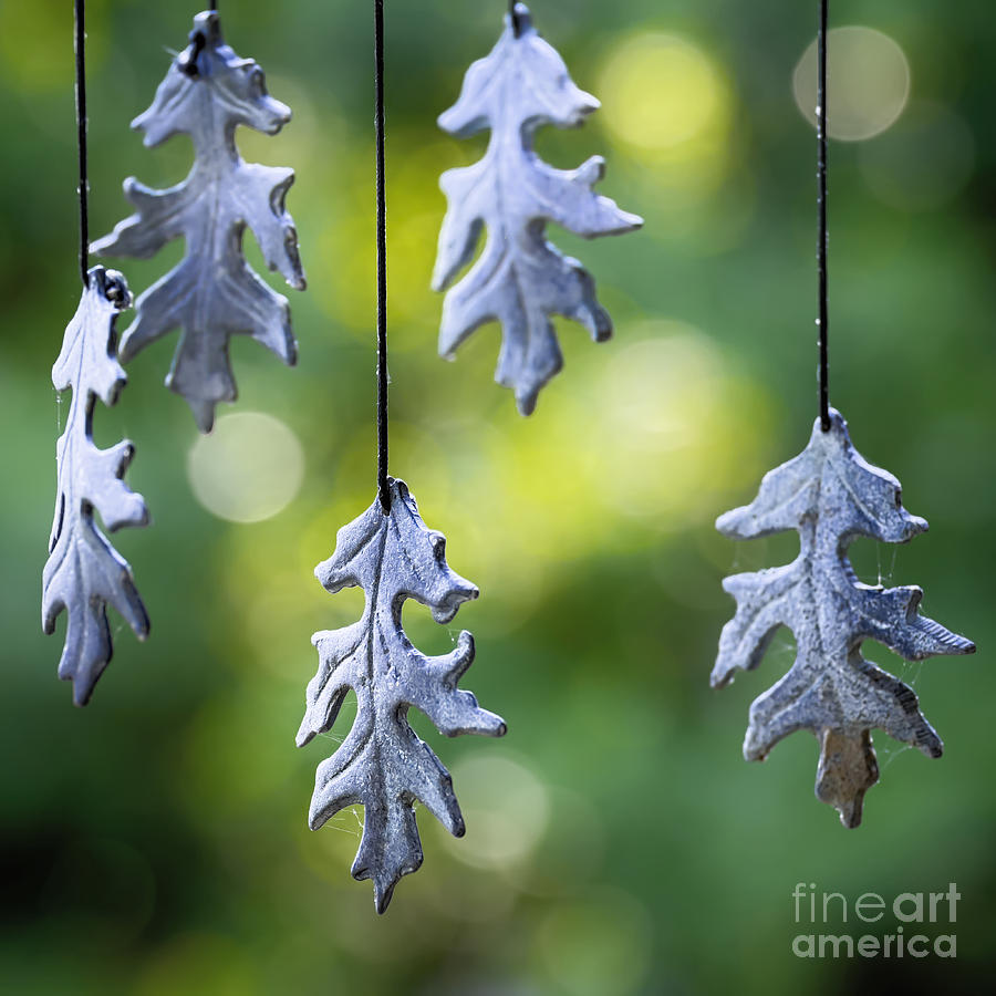 Fall Photograph - Autumn Wind Chimes by Patrick Lynch