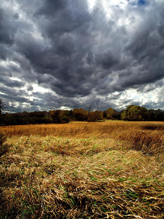 Landscape Photograph - Autumn Winds Blow by Phil Koch