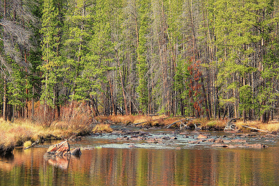 Autumn Wise River Montana Photograph by Jennie Marie Schell