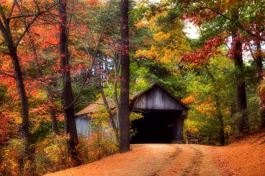 Fall Photograph - Autumn Wonder by Joann Vitali