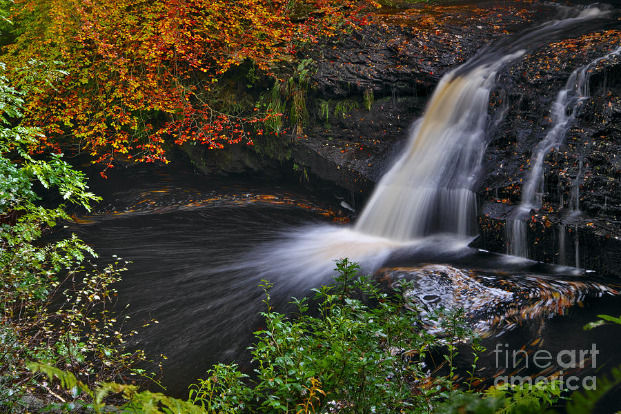Autumn Woodland Waterfall Photograph by Martyn Arnold