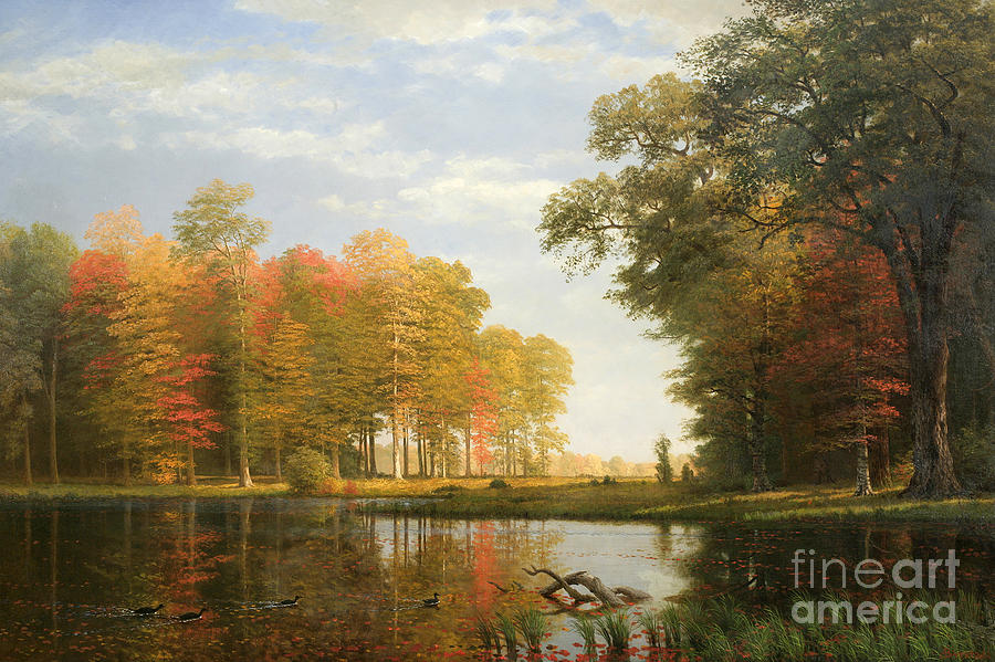 Autumn Woods Painting by Albert Bierstadt