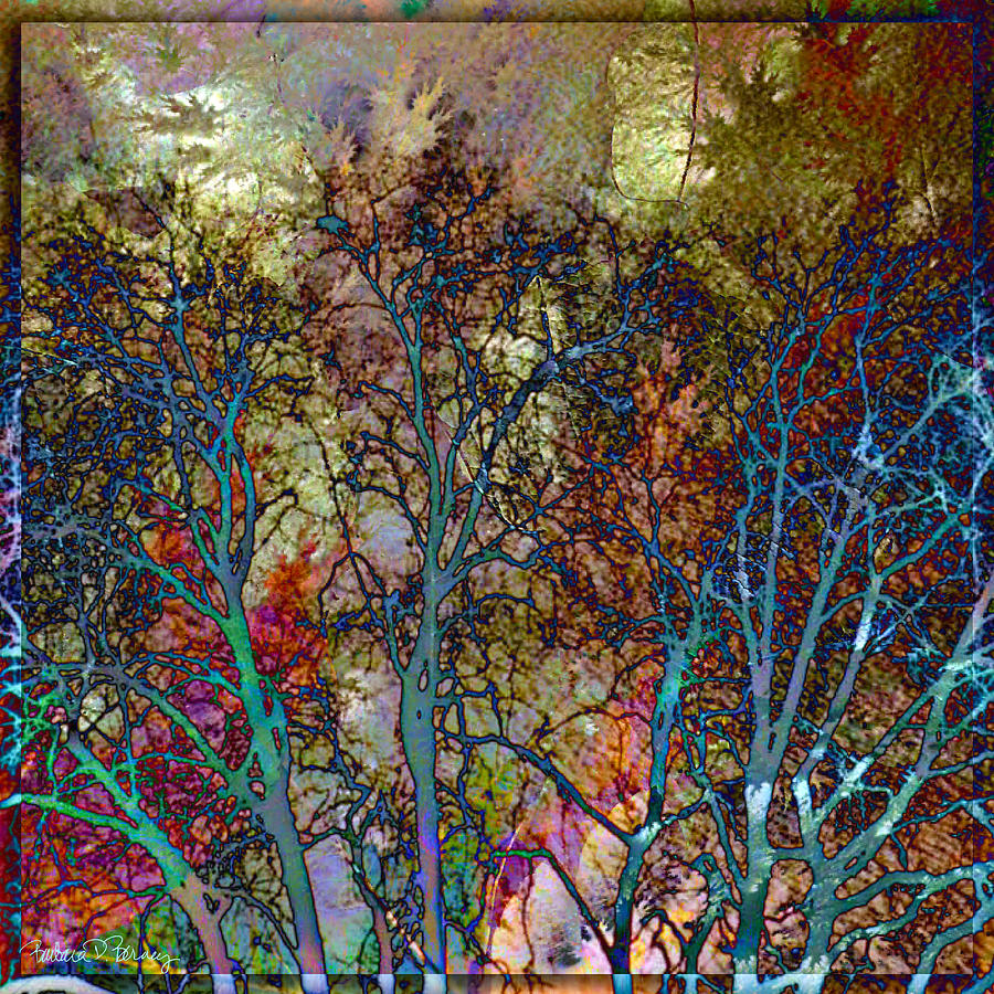 Autumn Woods Digital Art by Barbara Berney