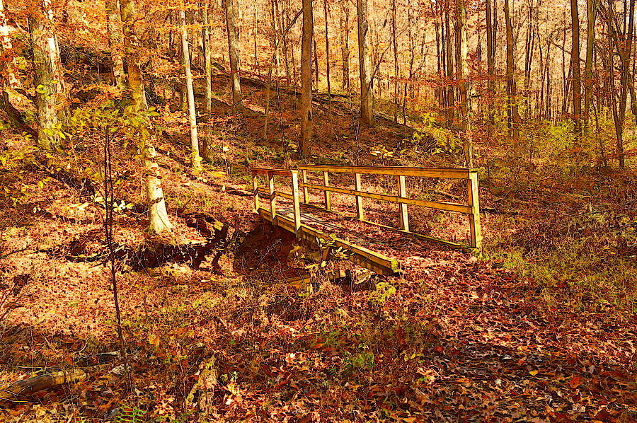 Autumn Woods Footbridge Photograph by Stacie Siemsen
