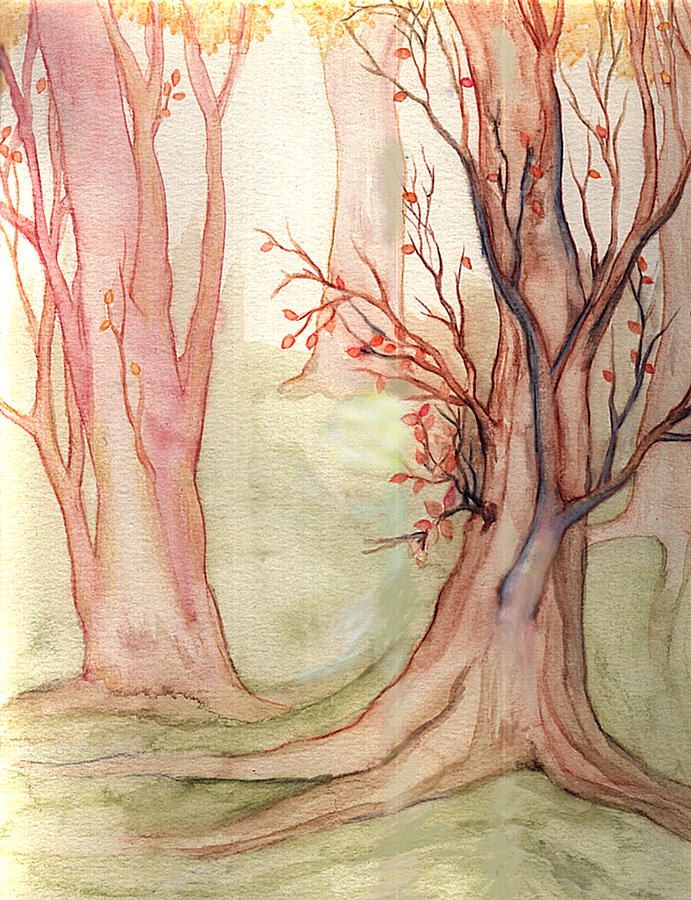 Fall Drawing - Autumn Woods by Rebecca Tripp