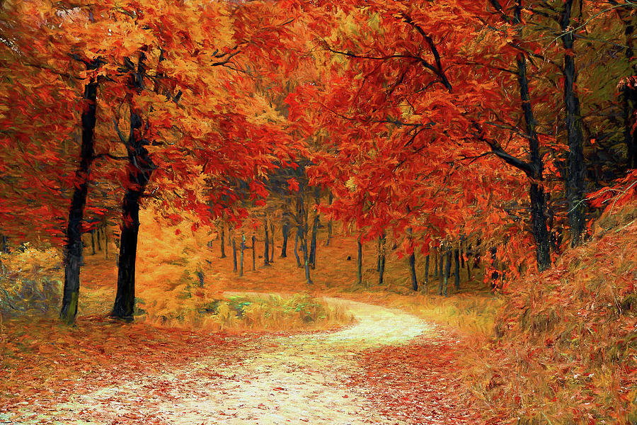 Autumn Woods Digital Art by Roy Pedersen - Fine Art America