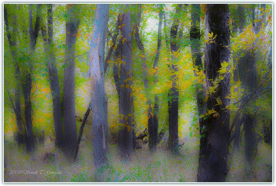 Autumn Woods Digital Art by Sonali Gangane