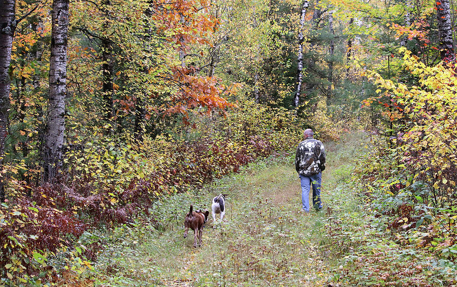 Autumn Woods Walk 1 Photograph by Brook Burling