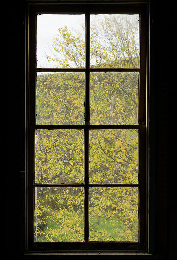 Autumn yellow leaves through attic window Photograph by Liz Albro