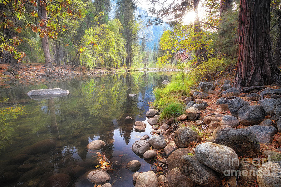Autumn, Yosemite Valley Photograph by Anthony Michael Bonafede