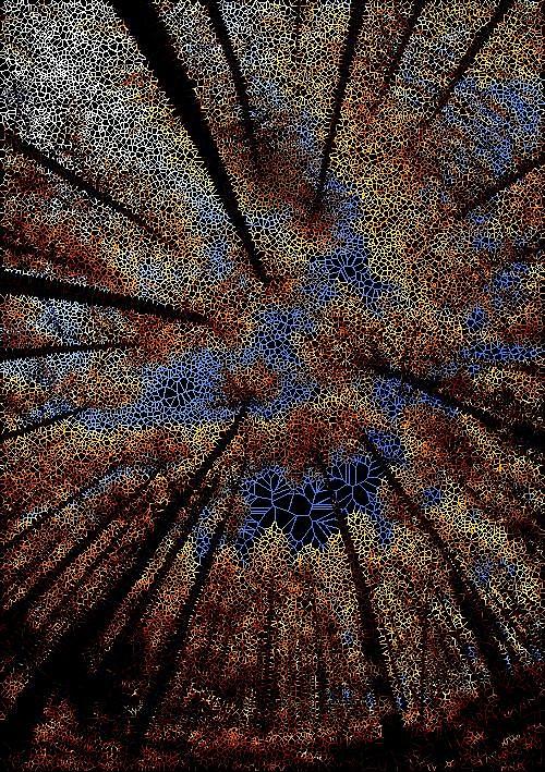 Autumn Zenith Digital Art by Stephane Poirier