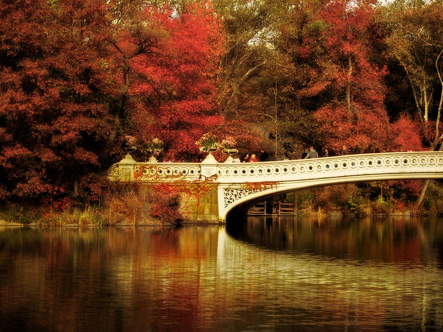Autumnal Bow Bridge  Photograph by Jessica Jenney