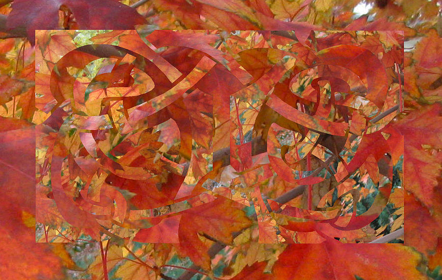 Autumnal Celtic Celebration 3 Digital Art by Laura Davis