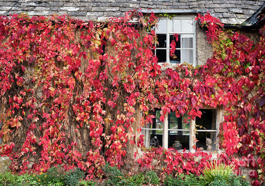 Autumnal Cottage Photograph by Tim Gainey