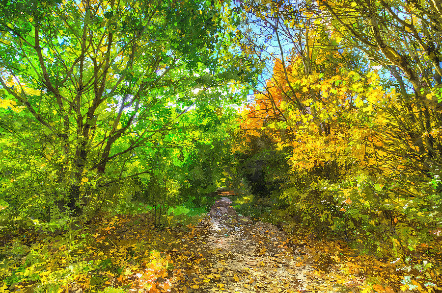Autumnal Forest Path Art Photograph by David Pyatt