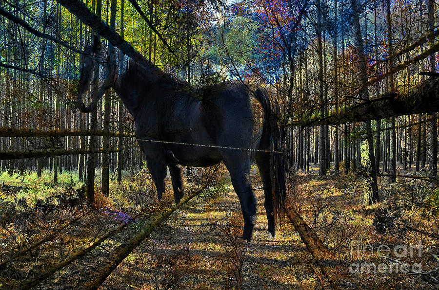 Horse in the Autumn Forest Digital Art by Silva Wischeropp