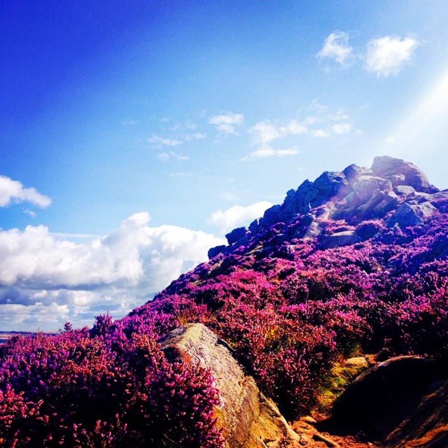 Sobeautiful Photograph - Autumnal Heather Up On Win Hill by Heather Catherine Marshall