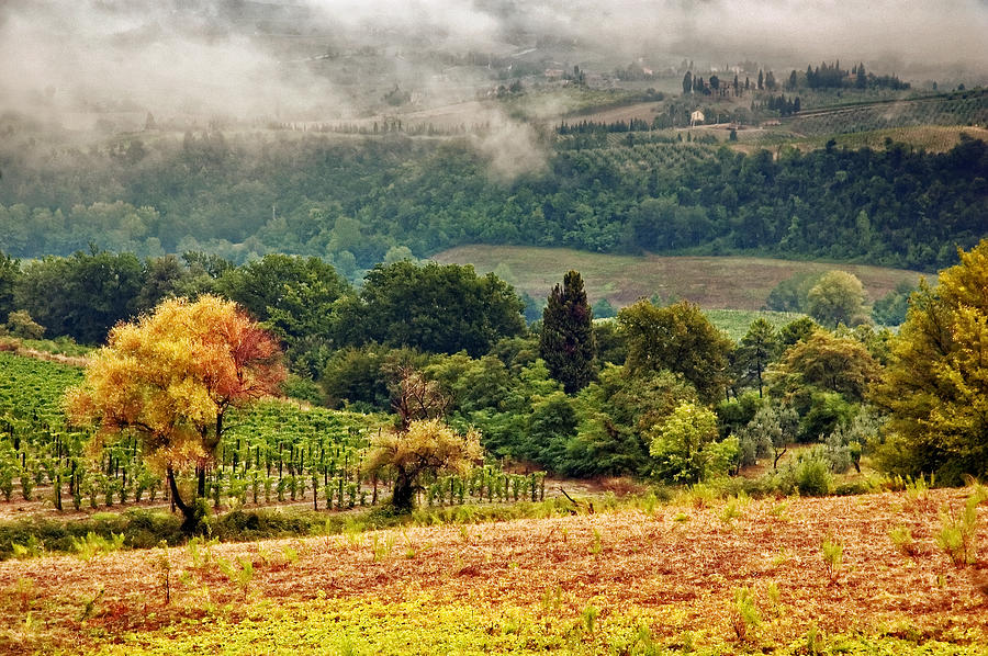 Fall Photograph - Autumnal hills by Silvia Ganora