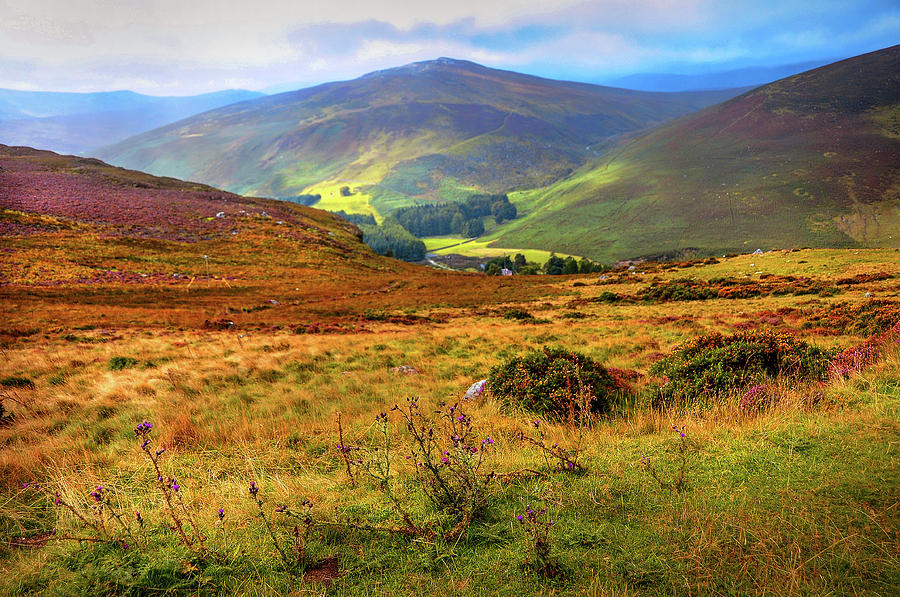 Autumnal Hills. Wicklow. Ireland Photograph by Jenny Rainbow