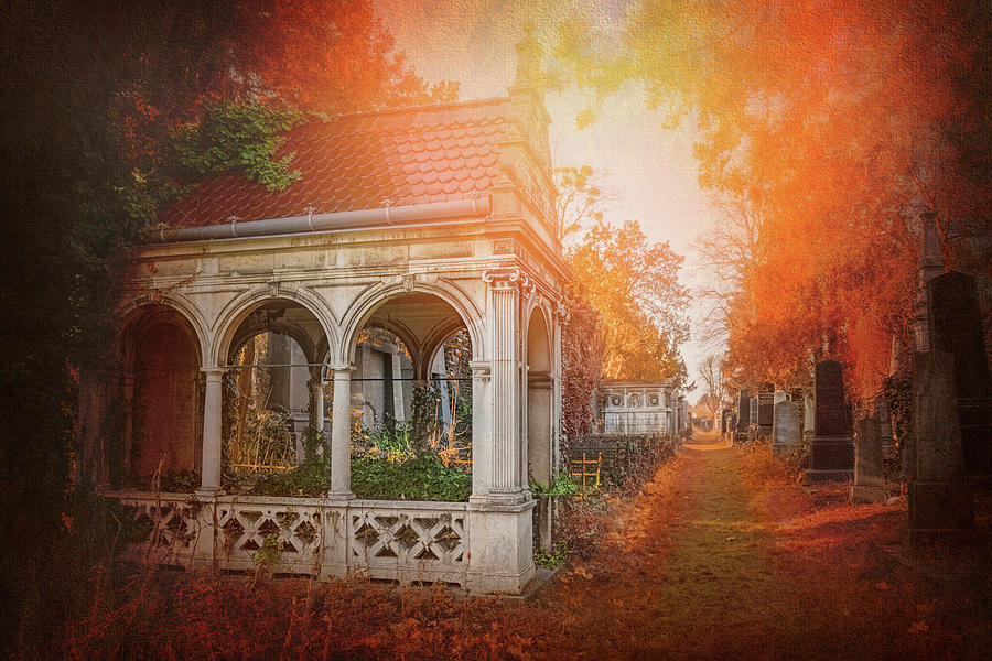 Autumnal Historic Cemetery Vienna Austria  Photograph by Carol Japp