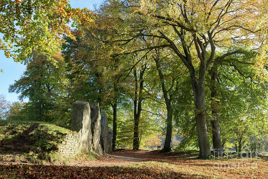 Autumnal Long Barrow Photograph by Tim Gainey