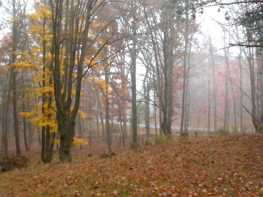 Autumnal Mist Painting by Paul Sachtleben