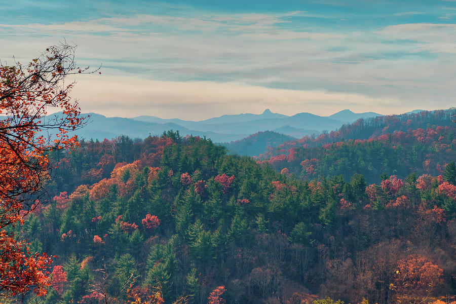 Autumnal North Carolina Photograph by Ray Devlin