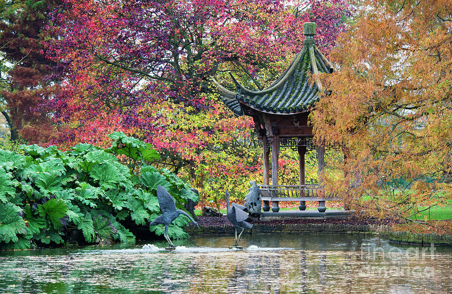 Autumnal Pagoda Photograph by Tim Gainey