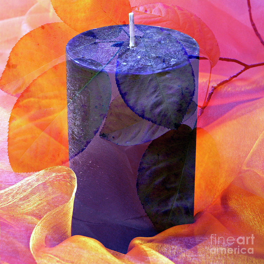Floral Violet Candle Digital Art by Silva Wischeropp