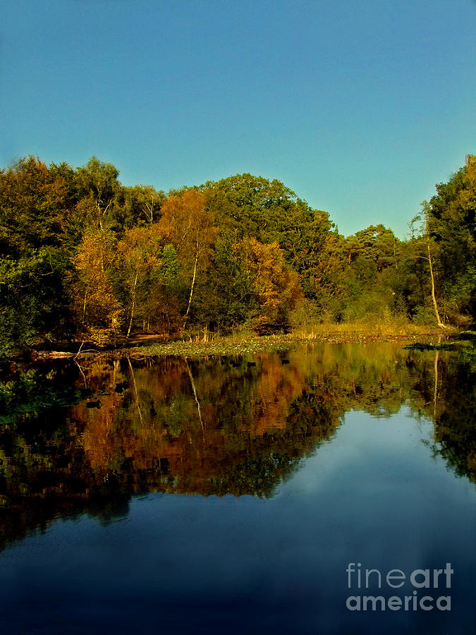 Fall Photograph - Autumnal Reflecion by Jack  Hood