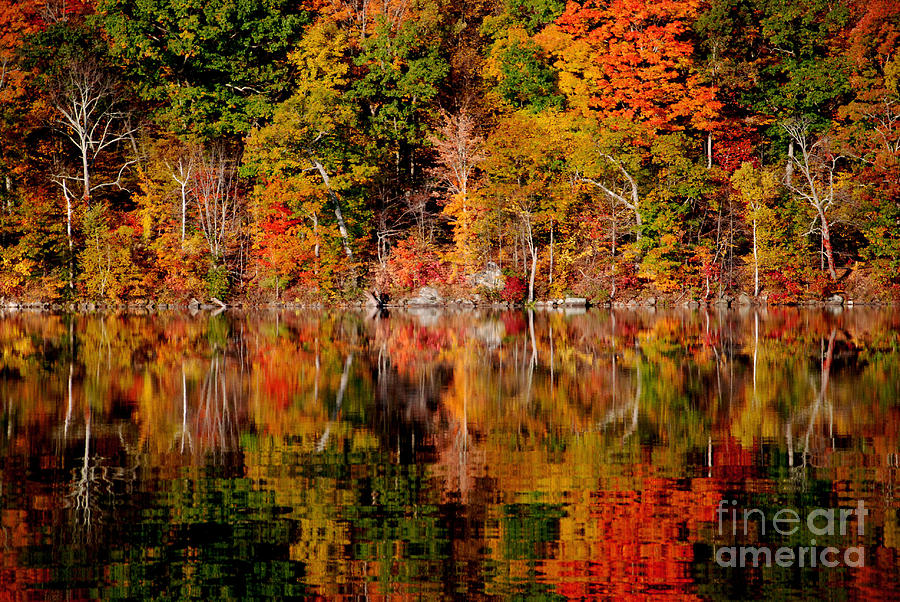 Autumnal Reflections Photograph by Andrea Simon