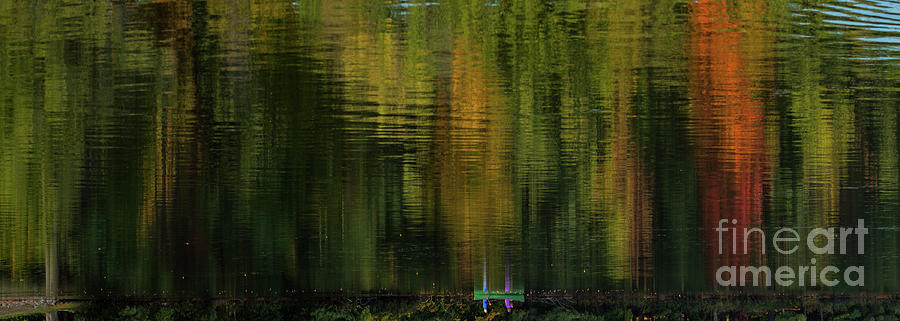 Autumnal Reflections Photograph by Les Palenik
