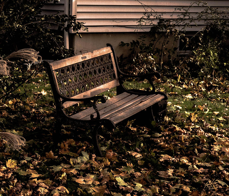 Autumnal Solace Photograph by Leon deVose